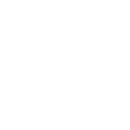 performance logo